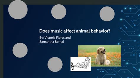 Does Music Affect Animal Behavior: Can a Symphony Soothe a Savage Beast?